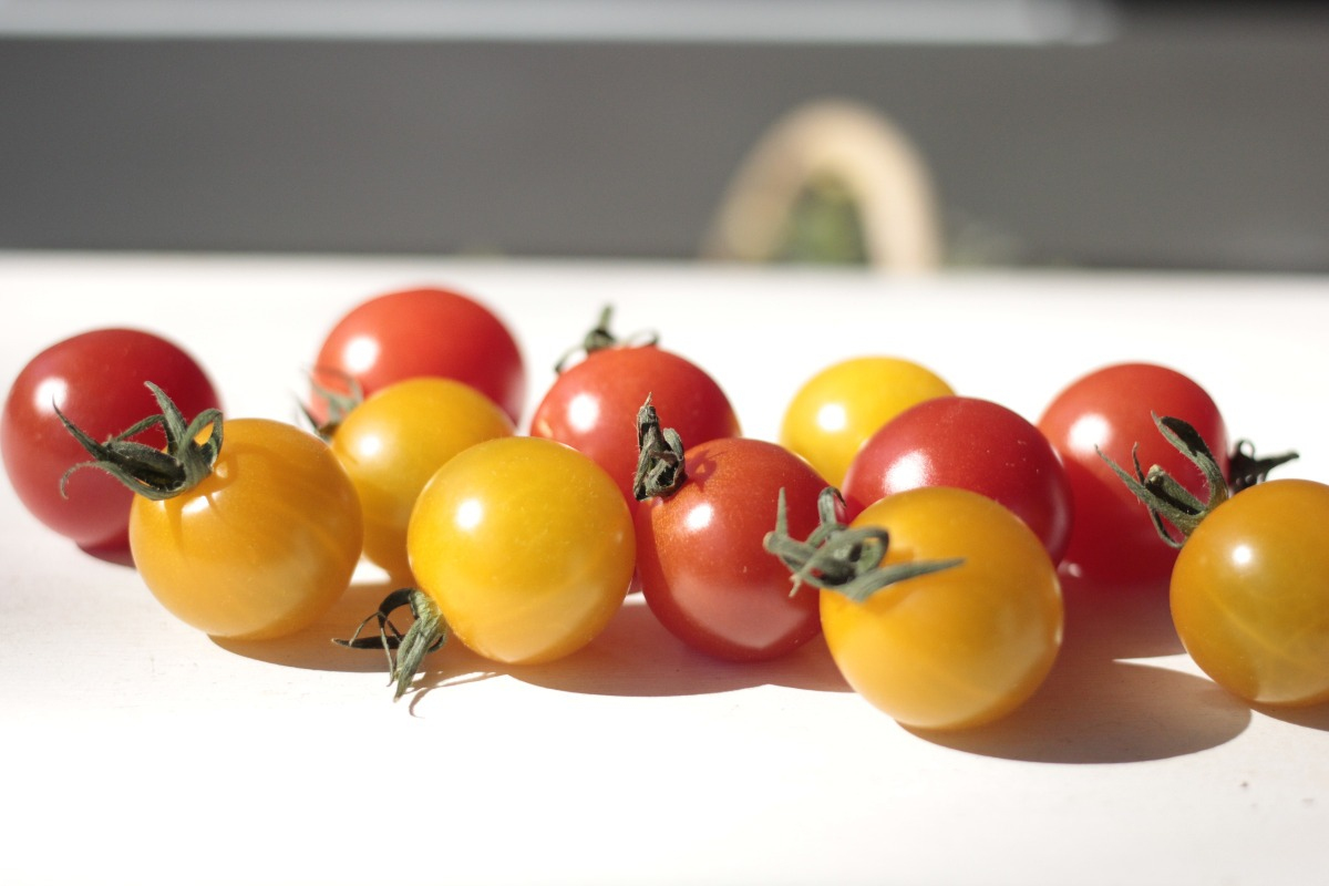 リコピンたっぷり！トマトの健康効果と栄養素について - トマトはリコピンたっぷり！　トマトの栄養素をご紹介