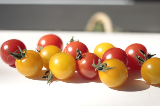 リコピンたっぷり！トマトの健康効果と栄養素について